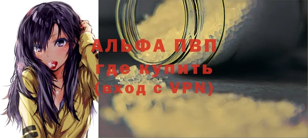 стаф Бронницы