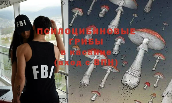 стаф Бронницы