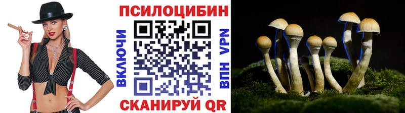 Псилоцибиновые грибы MAGIC MUSHROOMS  Купить где  Куровское 
