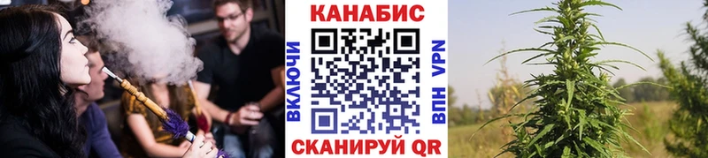 Купить закладки  Куровское  Бошки Шишки гибрид 
